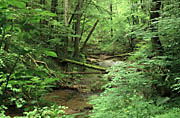 Wieslaufschlucht