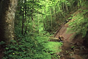 Wieslaufschlucht