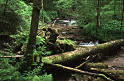 Str&uuml;mpfelbachtal