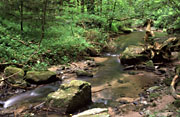 Str&uuml;mpfelbachtal