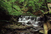 Wasserfall Str&uuml;mpfelbachtal