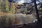 Ebnisee