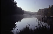 Ebnisee