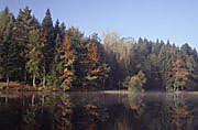 Ebnisee