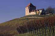 Burg Wildeck