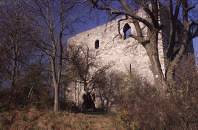 Ruine Helfenberg