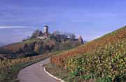 Burg Hohenbeilstein