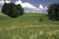 Wiesental bei der Menzlesmuehle.jpg