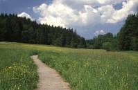 Wiesent&auml;ler bei der Menzlesm&uuml;hle