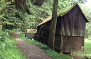 Hummelgautsche