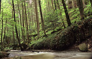 Str&uuml;mpfelbachtal