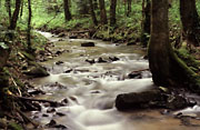 Str&uuml;mpfelbachtal