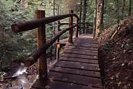 Steg im Str&uuml;mpfelbachtal