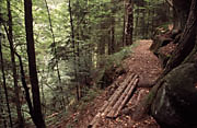 Geldmachersklinge