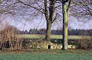 Kleinkastel Roetelsee