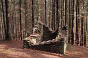 Limesturm 91