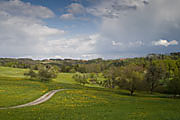 Wiesenlandschaft