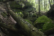 Gallengrotte