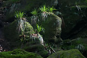 Gallemgrotte