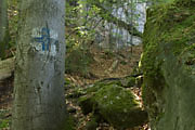 Felsenmeer bei Murrhardt
