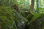 Felsenmeer bei Murrhardt
