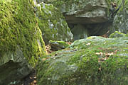 Felsenmeer bei Murrhardt