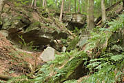 Grotte im Banwwald Steinh&auml;usle bei Kaisersbach