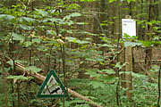 Bannwald Steinh&auml;usle