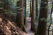 Edenbachtal
