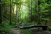 Trauzenbachtal