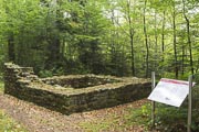LA-5562-Limesturm.jpg LA-5562-Limesturm.jpg