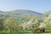 Blick von der Limburg nach Norden