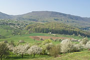 Blick von der Limburg nach Norden