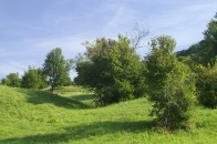 Naturschutgebiet Eichhalde