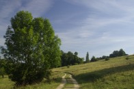 Naturschutgebiet Eichhalde unterhalb der Teck