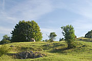 Naturschutgebiet Eichhalde