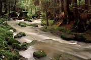 Monbachtal