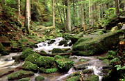 Monbachtal