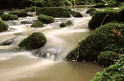 Monbachtal