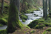 Monbachtal