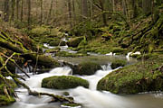 Monbachtal