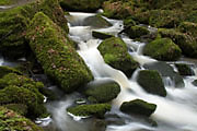Monbachtal