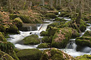 Monbachtal