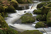 Monbachtal