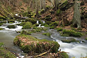 Monbachtal