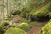 Monbachtal