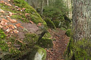 Monbachtal