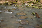 Monbachtal