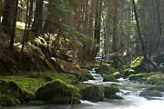 Monbachtal