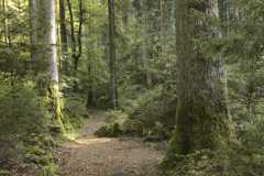 Premiumweg-Wasser-Wald-und-Wiesenpfad-Roetelbachtal-Calw-231002_13.jpg